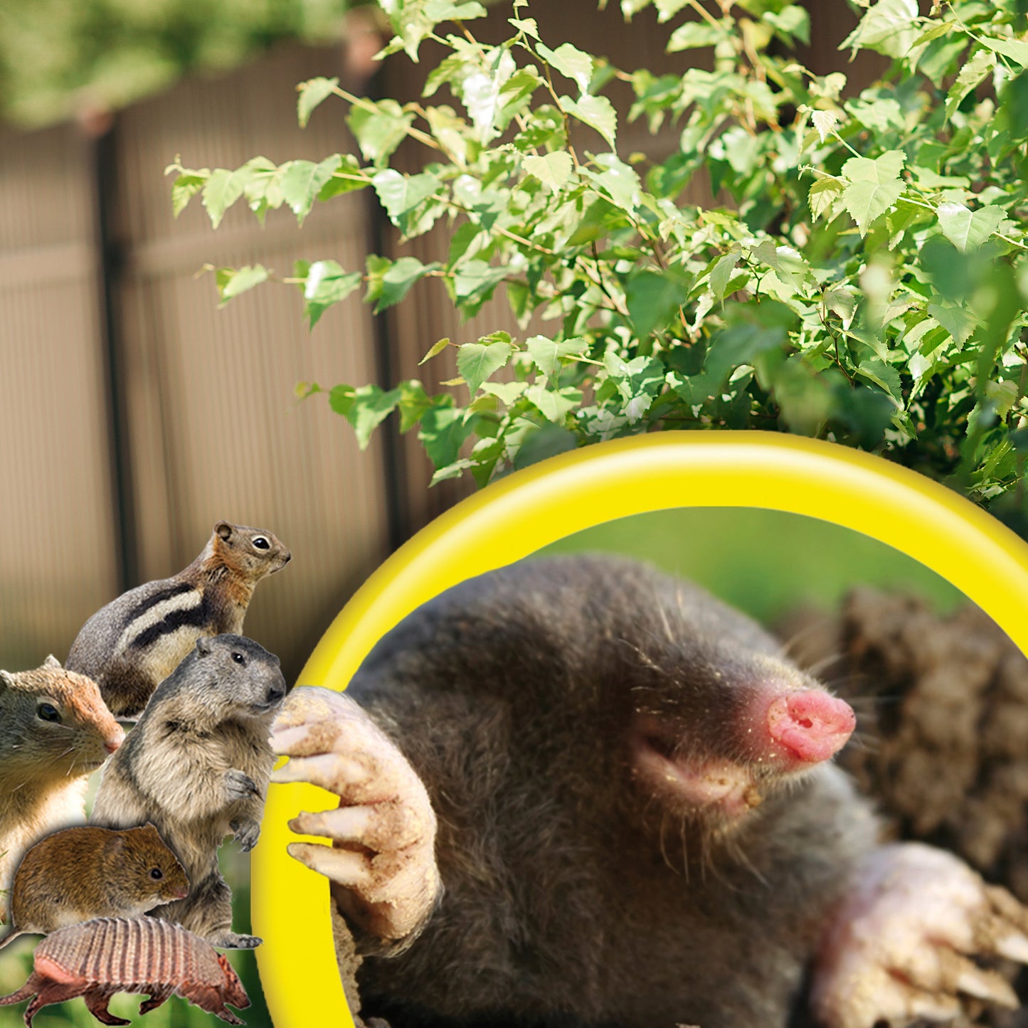 BONIDE Molemax Sonic Spike Mole & Gopher Repellant