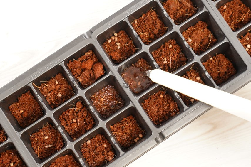 PlantBest™ PlantBest Greenhouse Seed Starter Kit - 36 cell