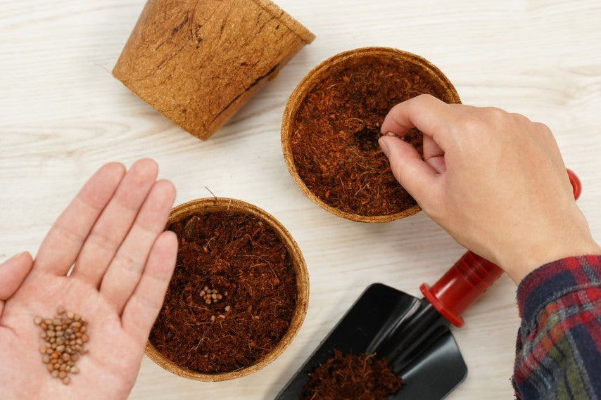 PlantBest® Biodegradable Coconut Coir Pots 4.5" 6pk