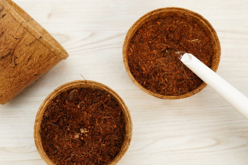 PlantBest® Biodegradable Coconut Coir Pots 4.5" 6pk