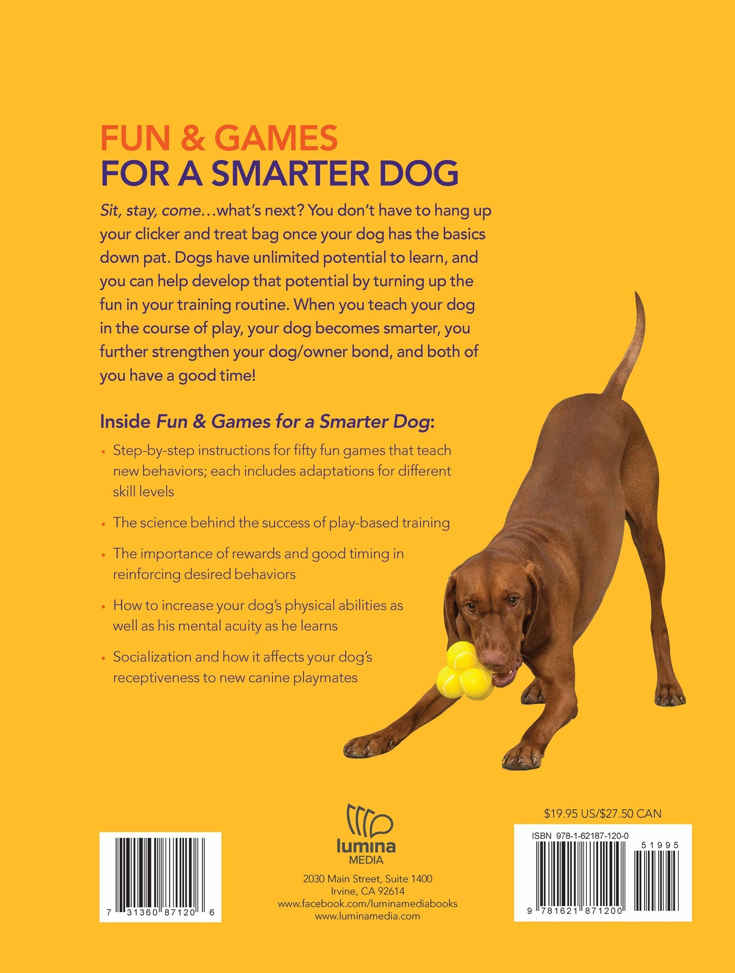 Fun & Games for a Smarter Dog: 50 Great Brain Games to Engage Your Dog by Sophie Collins