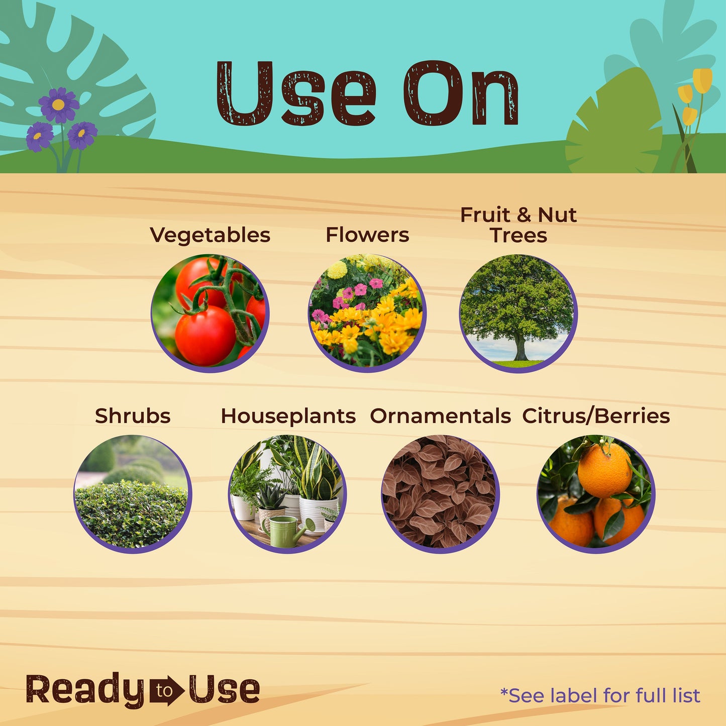 BONIDE Insecticidal Soap RTU Houseplant Spray - 12 oz