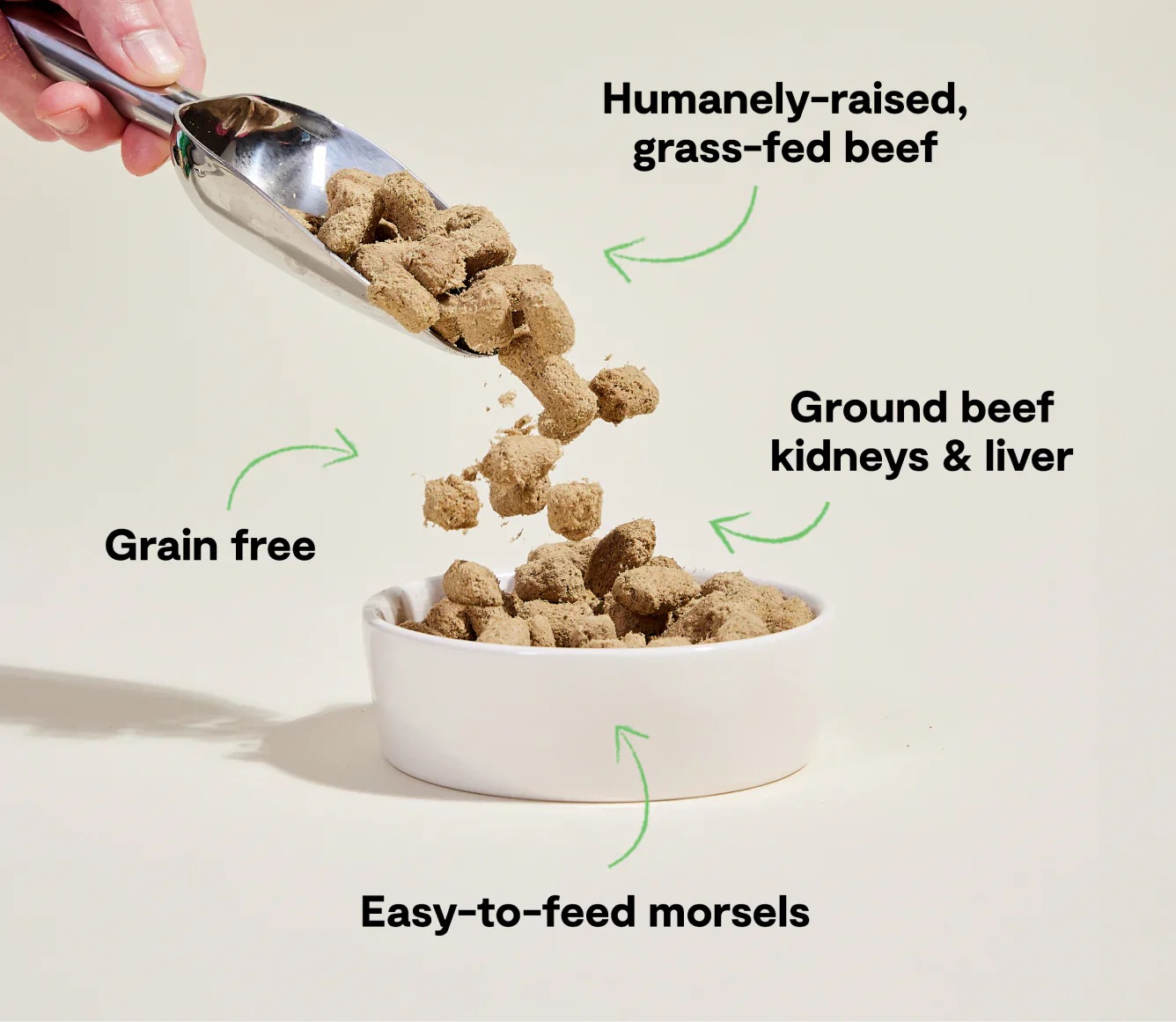 Open Farm Dog Freeze Dried Morsels Grassfed Beef (13.5oz)