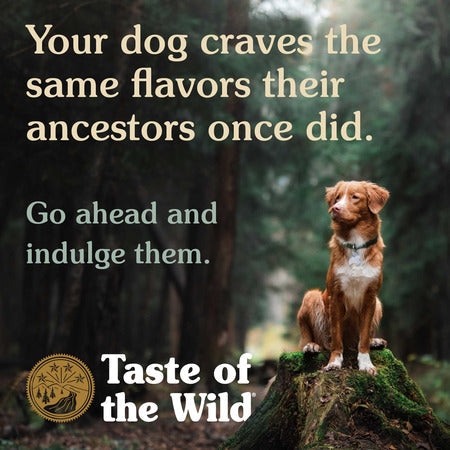 Taste of the Wild Ancient Mountain Canine Recipe with Roasted Lamb